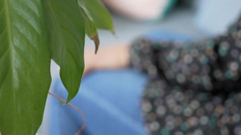 A blurred picture of the Muslim woman who spoke to the BBC. Her face is not visible, only her arm in a long sleeve top and the side of her leg, in blue jeans. A green-leafed plant is in the foreground. 