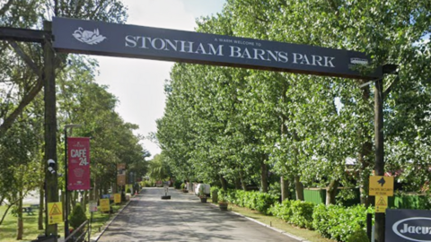 Tree-lined entrance to Stonham Barnes Park which is also lined with a low hedge on one side. 