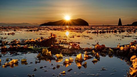 Robert Westerman took this photo during the low tide at the entrance to Campbeltown Loch. He said: "The sun rises behind Davaar Island, casting a soft glow."