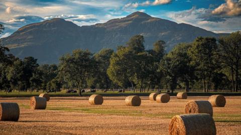 hay stacks ion a field with trees and a mountain in the background