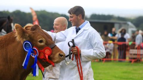 A young man wearing a white coat holds the halter of a brown cow. The halter stap has four blue, white and red rosettes attached to it and there is an older man, also wearing a white coat, smiling in the background.