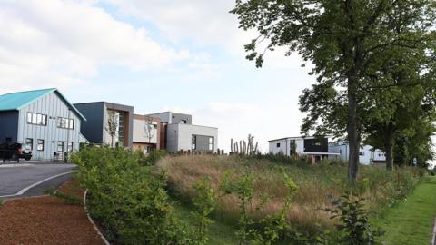 A row of self-build houses, each different from the other. Several are large and box-shaped. The nearest has a traditional gable roof and is mainly blue in colour. In the foreground is a patch of green with trees and long grass.