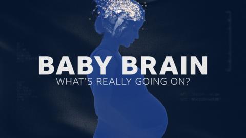 Baby Brain: What's Really Going On?