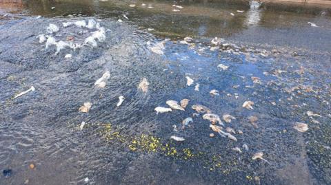 Sewage in the street in Lambourn