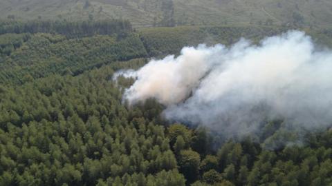 Anearial shot, showing a large plume of smoke eminating from a heavily wooded area.