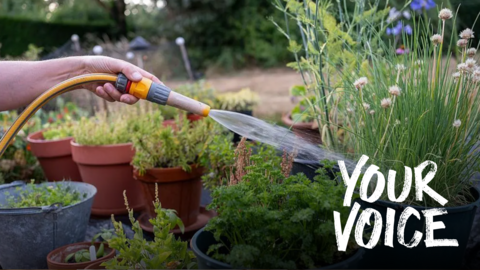 A generic image of a hosepipe. Water is seen watering 