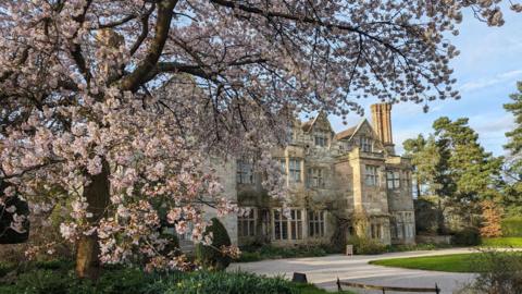 Cherry tree at Benthall Hall