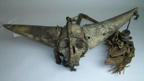 A Naga skull in the repository of Horniman Museum in London