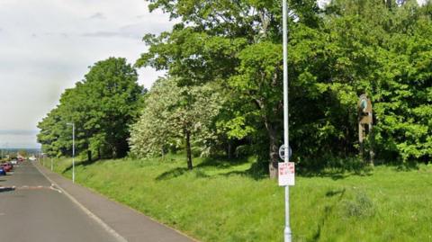 There are lots of leafy green trees lining the park on one side of the picture. There is a grey road on the lefthand side of the picture.