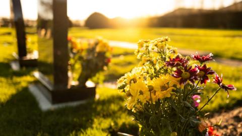 A stock photo of a bunch of red and yellow flowers, highlighted by low afternoon sunshine. In the background are two blurred marble headstones.