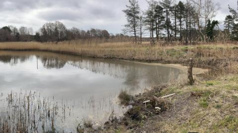 An oil spill can be seen in the water near the marsh land.