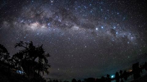 The Milky Way seen in a starry sky above trees