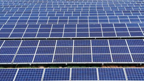 An array of dozens of solar panels arranged in rows