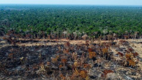 Ardal o goedwig law'r Amazon ger Humaitá, Brasil sydd wedi'i losgi 