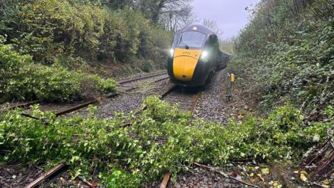 A GWR train coloured green and yellow, with foliage in front of it across the rail tracks. There are hedges on banks either side of the train.