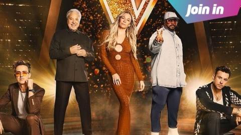 the voice judges