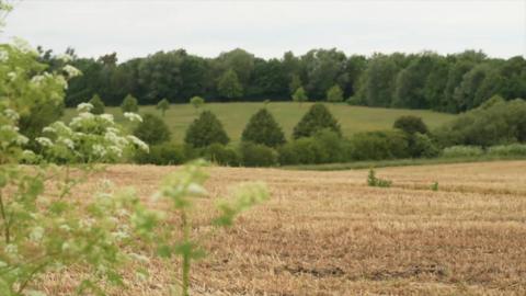 A field can be seen at the front of the picture then hedgerows and trees and a green field beyond with more trees bordering it.