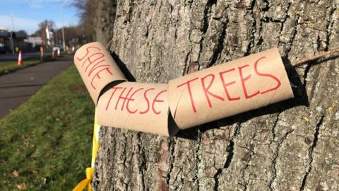 "Save" "These" and "Trees" written in red pen on cardboard tubes tied to a tree trunk by string