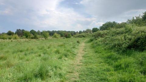 A large green field surrounded by trees with a footpath running through it