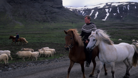 Icelandic sheep farmers 2002