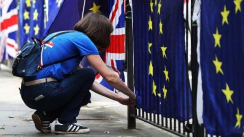 Flags in Westminster