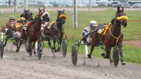 harness racing