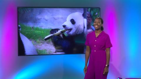 Shanequa on the Newsround set
