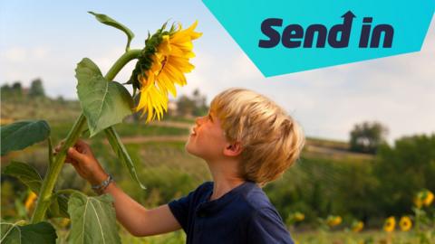 Boy with a sunflower.