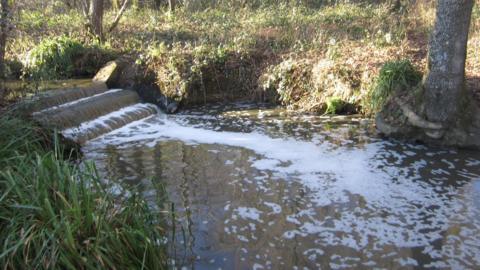 Plumpton Mill Stream pollution