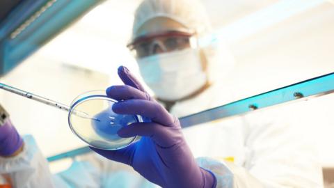 A scientist during a medical trial