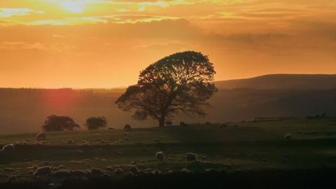 The Northumberland National Park