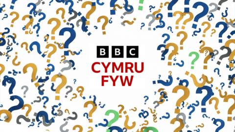 Cwis mawr y flwyddyn rhan 2