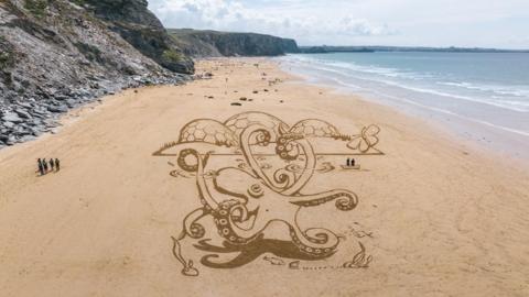 A large piece of sand art on a long beach, lined by cliffs. The art depicts an octopus in front of the bubble-like biomes of the Eden Project, with a butterfly fluttering by.