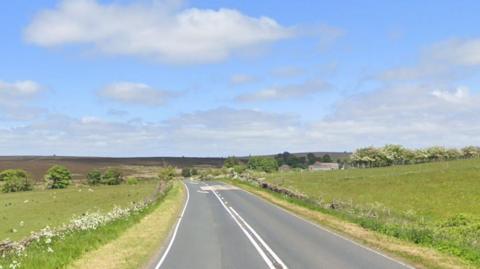 A fairly straight road stretches past green meadows and fields. Several sheep are in the left field, with white flowers growing along the fence. One or two houses are in the distance to the right.