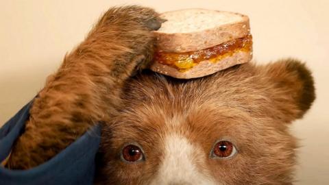Still from the film Paddington 3 showing Paddington reaching for a marmalade sandwich that is balanced on his head