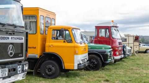 Vintage trucks are parked in a row on a field. One is bright yellow, another is red and one is green. It is a cloudy day.