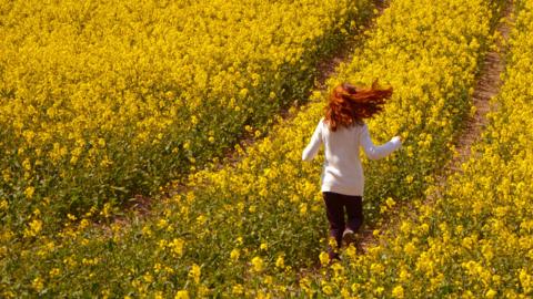 Woman runs through a rapeseed field
