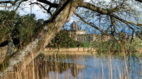 Castle Howard stately home which has been photographed through a tree which looks like a willow tree, with a lake in the front.