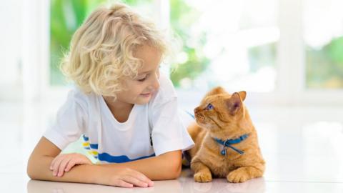 A child and their cat.