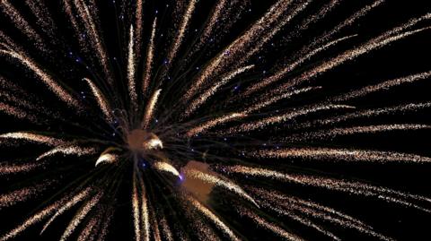 A firework explodes in the night, sending out showers of sparks and puffs of smoke.