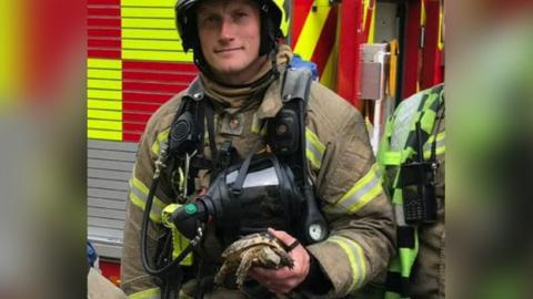 Tortoise with a firefighter