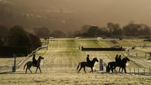 Horses and their riders on a racecourse