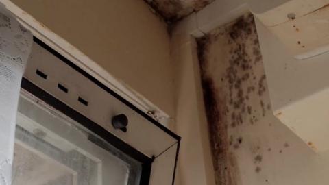 Mould in flat