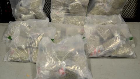 Packs of drugs that were seized at Larne Port