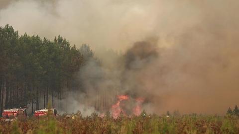 WIldfire in France, with trees and vegetation burning.