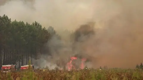 WIldfire in France, with trees and vegetation burning.