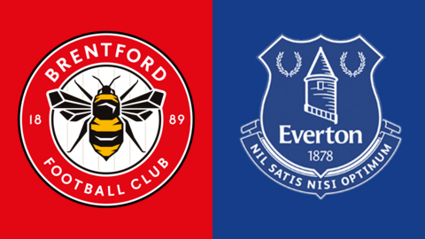 Brentford v Everton graphic