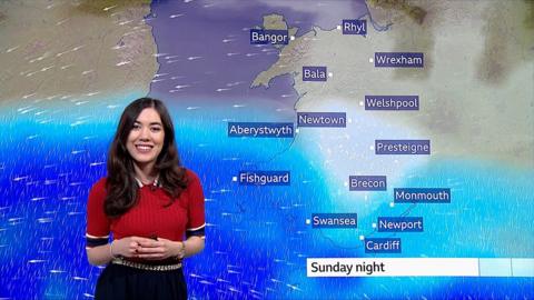 Weather presenter Sabrina Lee standing in front of Wales weather map showing snow