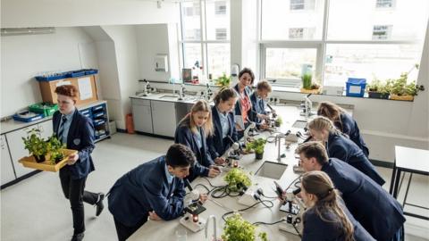 Children in science class looking down microscopes