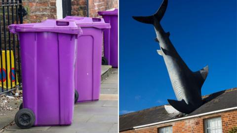 A split image. On the left is Liverpool's purple wheelie bins On the right is a shark sticking out of a roof